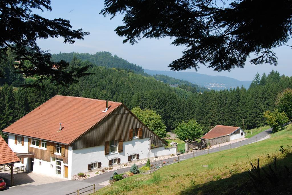Chambre D'Hotes Kieffer Le Grand Bienfaisy Remiremont Exterior foto